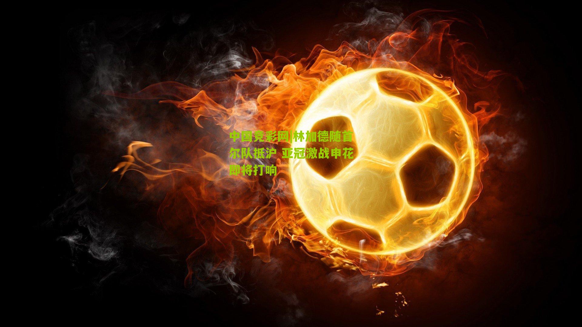 林加德随首尔队抵沪 亚冠激战申花即将打响